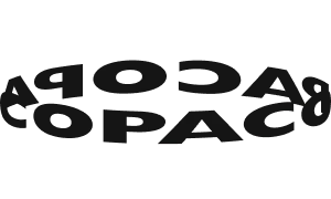 Copaco logo