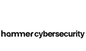 Hammer Cybersecurity logo